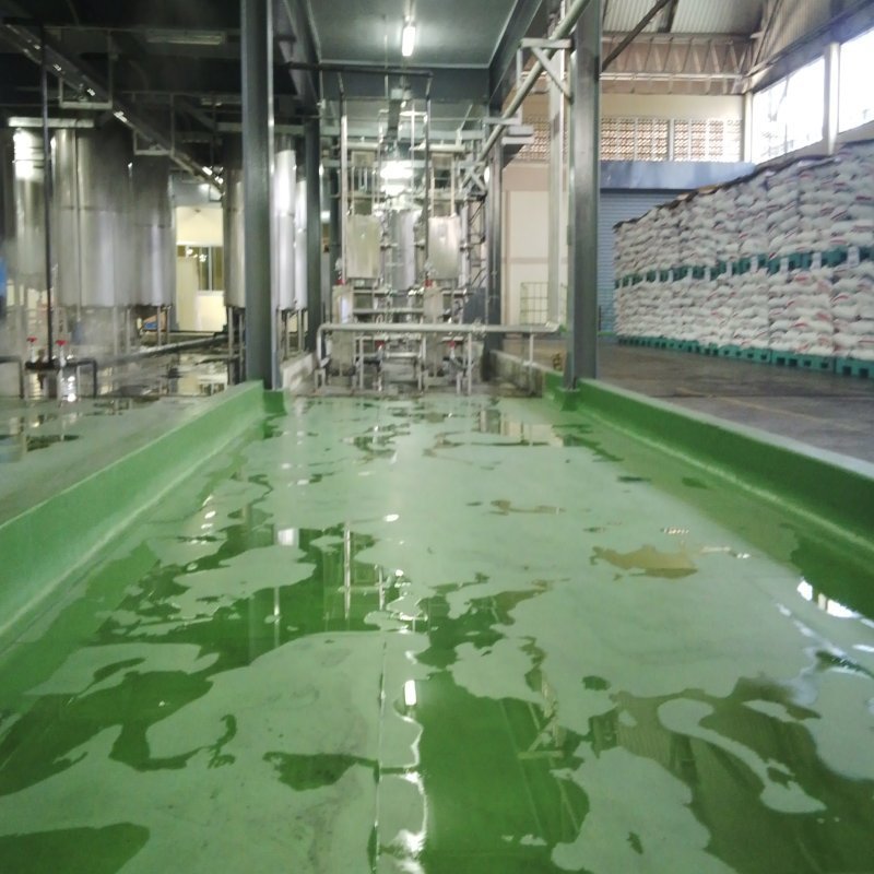 Red Bull Plant Chacheongsao